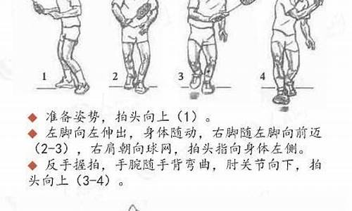 羽毛球基础与实战技巧,羽毛球入门基本功训练