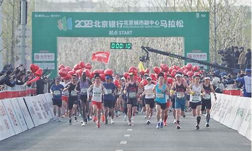 2013北京马拉松,2013北京马拉松成绩