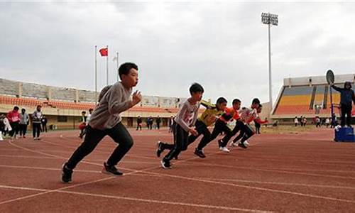 小学田径比赛的目的方案有哪些_小学田径活动方案