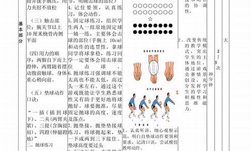 小学小排球教案反思_小学小排球教案