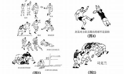 7人橄榄球规则_7人橄榄球规则介绍视频